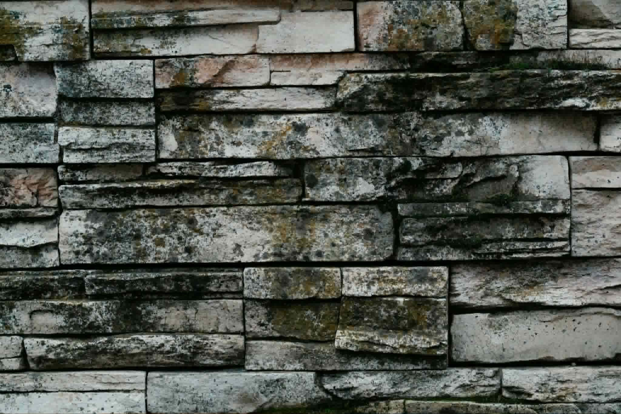 Algae and moss removal from stone facade London